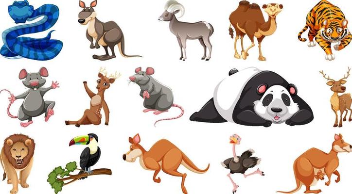 Set of different wild animals cartoon characters