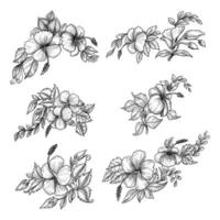 Beautiful hand draw sketch floral set design vector