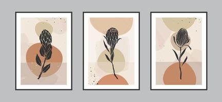 Modern abstract protea flower and tropical leaves line art background with different shapes for wall decoration, postcard or brochure cover design. Vector illustrations design