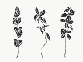 arte de línea de hojas botánicas. Línea abstracta de plantas modernas o mínimas. perfecto para la decoración del hogar como carteles. diseño de ilustraciones vectoriales vector