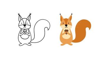 Cute Squirrel hand drawn vector illustration. Contour and color version.