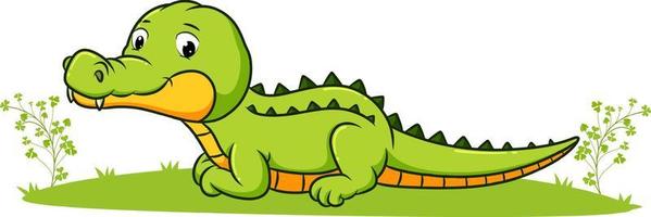 The cute crocodile is laying down in the garden