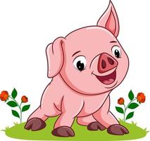 The baby pig is giving the happy expression vector