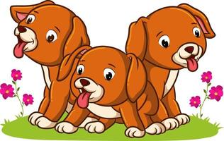 The puppies are playing and sitting on the grass vector