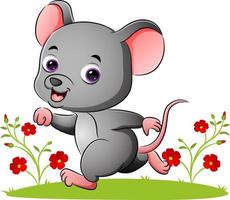 The cute young mouse is running in the garden vector