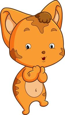 The cute cat is curious and happy
