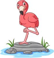 The pretty flamingo is standing with the one leg n the pond vector