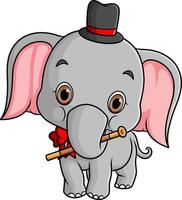 The baby elephant is doing the circus and wearing cap