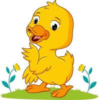 The pretty duck playing in the garden vector