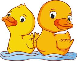 The two ducks are swimming on the water vector