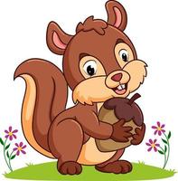 The squirrel is holding a big nut vector
