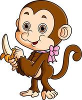 The little monkey is peeling a banana on its hand vector