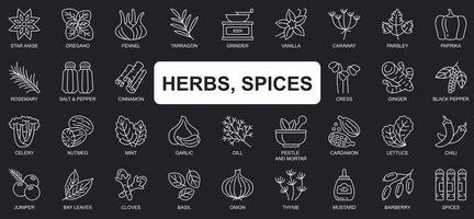 Herbs, spices concept simple line icons set. Bundle of star anise, oregano, vanilla, paprika, rosemary, salt, pepper, cinnamon and other. Vector pack outline symbols for website or mobile app design