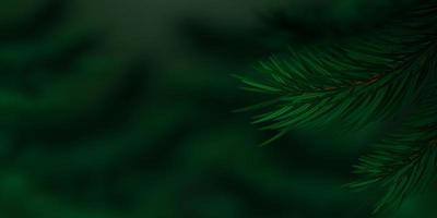 Coniferous twigs closeup. Dark nature background. Realistic pine or spruce branches on blurred background. Lush vegetation in a coniferous forest. Copy space. Vector illustration.