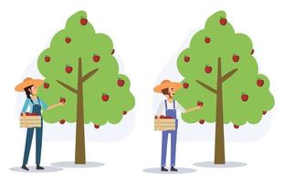 conjunto de un granjero feliz está recogiendo manzanas del manzano. concepto de agricultura, cosecha ilustración de personaje de dibujos animados 2d de vector plano.