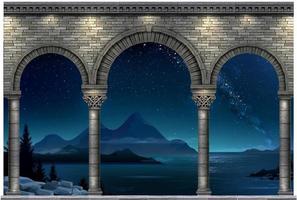 Classic antique stone arch at blue night vector