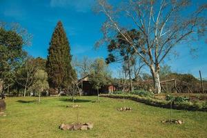 bento goncalves, brasil - 11 de julio de 2019. encantador jardín con árboles y césped verde, en el patio trasero de una propiedad rural cerca de bento goncalves. foto