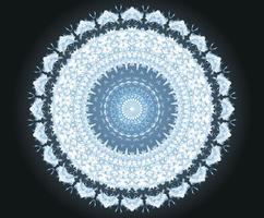 Dark Ice Ornament vector