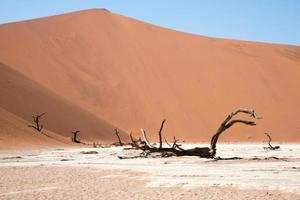 Desertic landscape with no people. Deadvlei. Namib-Naukluft Park in Namibia photo