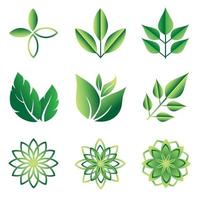 Set of Green Leaves Icons vector