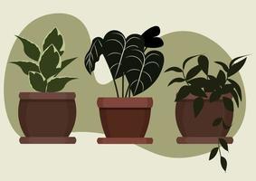 House plant pots collection vector