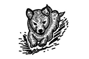 diseño vectorial perro dibujado a mano en color negro con fondo blanco vector