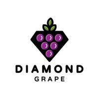 Combination Diamond and Grape with style flat Minimalist in background white vector template logo design editable