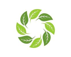 Circular green nature leaf vector