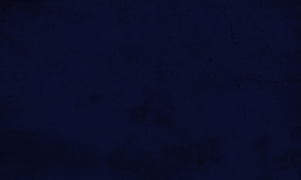 armory navy color