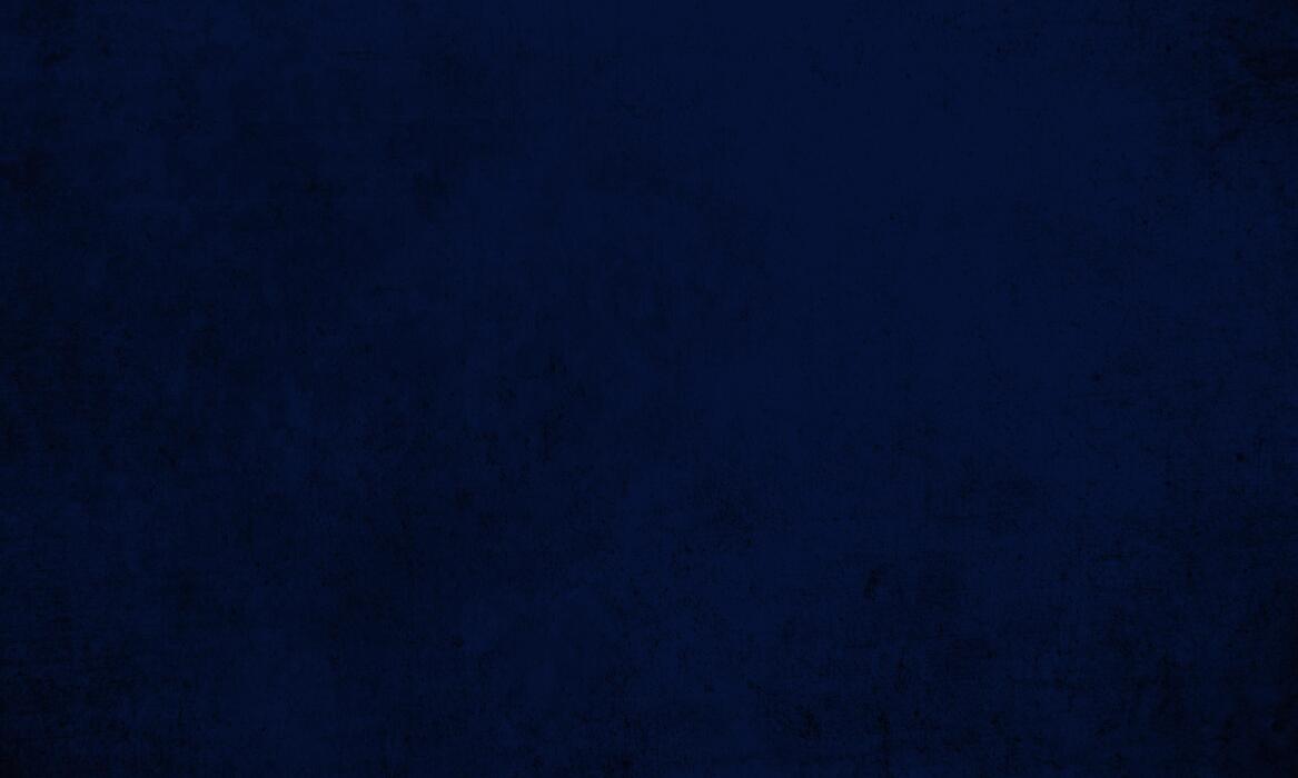armory navy color