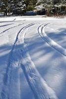 Tire tracks in the snow photo