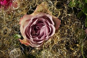 Decorative Violet Pink Rose Flower. Beautiful Shiny Background. photo