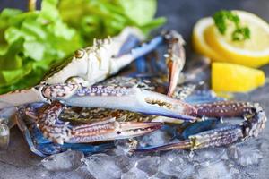 Fresh crab for cooked food at restaurant or seafood market Raw crab on ice with spices lemon and salad lettuce on the dark plate background Blue swimming crab photo