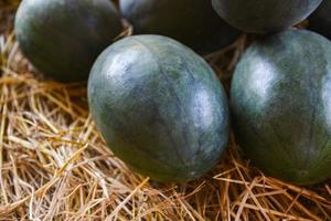 Fresh watermelon for sale in local market store - Pile of sweet green watermelons fruit summer photo