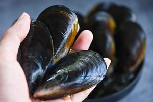 Raw Mussels on hand - Fresh seafood shellfish on ice in the restaurant or for sale in the market mussel shell food photo