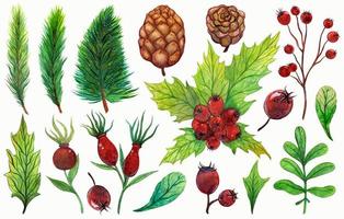 Watercolor set of Christmas plants. Hand-drawn festive botanical elements isolated on white background. Forest cliparts - pine, fir, spruce branches, cedar cones, holly, wild rose berries and leaves. photo