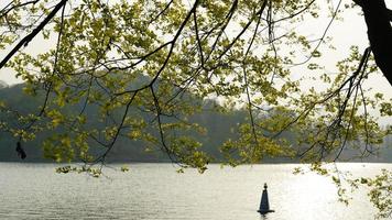 The beautiful lake landscapes in the Hangzhou city of the China in spring with the peaceful lake and fresh green mountains photo