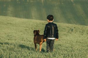Fashionable child in leather coat. stylish little boy with a dog in the countryside photo