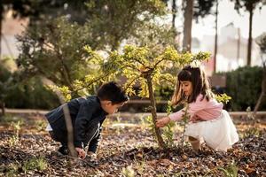 Little boy and girl playing and cultivating a tree in a park photo