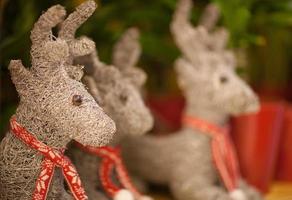 Christmas reindeer with a red knitted scarf closeup photo
