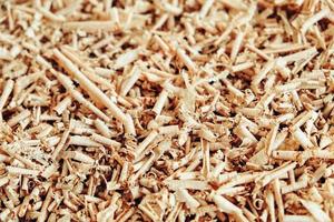 Texture of wood shavings as a background image. Background of fresh wood shavings photo