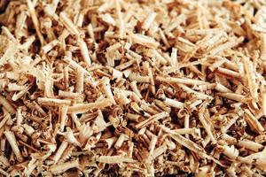 Texture of wood shavings as a background image. Background of fresh wood shavings. Copy, empty space for text photo