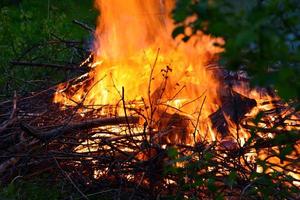 Burning branches in a fire. A bonfire is burning in the forest. Flame of fire. photo