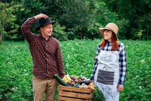 El hombre y la mujer agricultores en sombreros sosteniendo verduras orgánicas frescas en una caja de madera en el fondo de un huerto foto