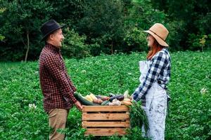 El hombre y la mujer agricultores en sombreros sosteniendo verduras orgánicas frescas en una caja de madera en el fondo de un huerto