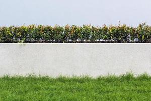 Muro de piedra y flora con césped en el diseño de decoración de jardines para edificios modernos foto