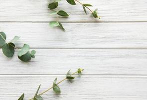 Eucalyptus branches on wooden table photo