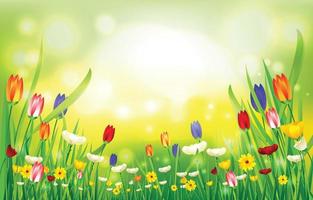 Nature Spring Background Concept