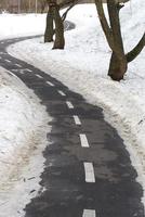 A small path near the trees and snow. photo