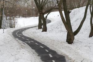 A small path near the trees and snow. photo